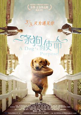 私拍在线