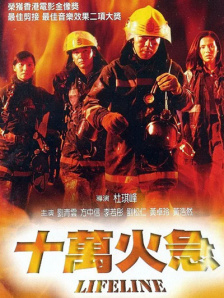 动物黄色片