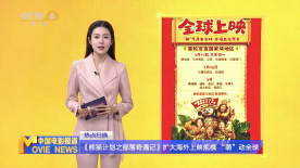 久久99精品久久久久久三级
